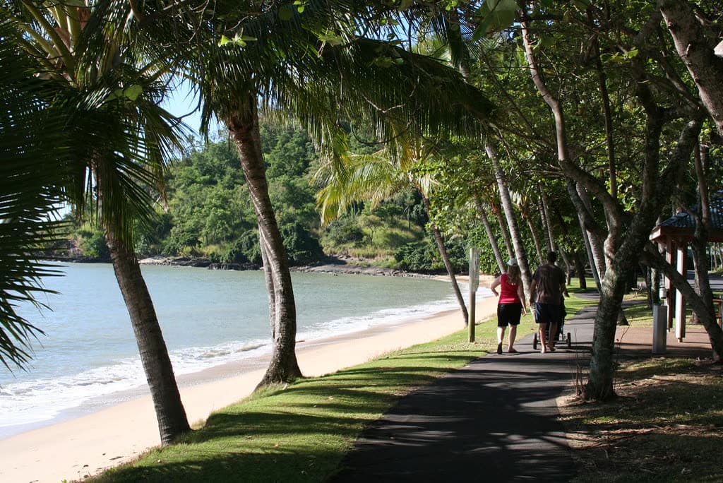 People walking the shaded esplanade path at Trinity Beach, palms leaning over the sand and the headland beyond