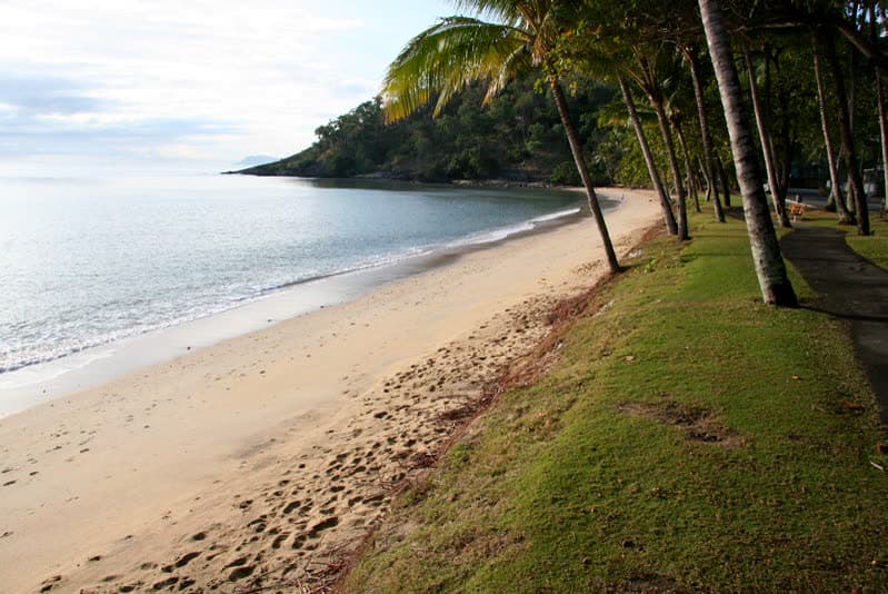 The curve of Trinity Beach at low tide, coconut palms and grass running down to the sand